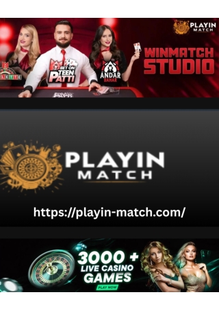Playin-Match: A Next-Level Digital Platform for Smooth