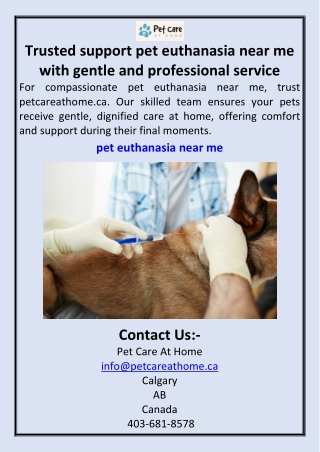 Trusted support pet euthanasia near me with gentle and professional service