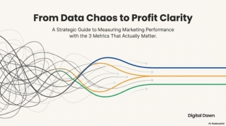 ROi, ROAS and CPA - 3 Main Marketing Metrics