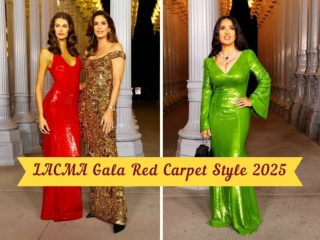 LACMA Gala Red Carpet Style 2025