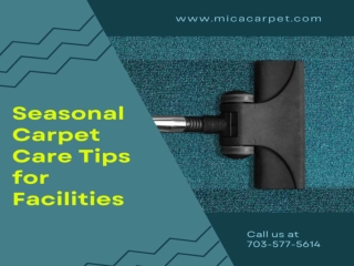 Seasonal Carpet Care Tips for Facilities