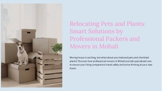 Special Care Moves: Transporting Pets and Plants with Professional Packers and M