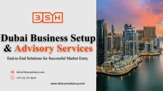 Dubai Business Setup & Advisory Services