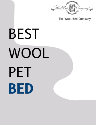 Best Wool Pet Bed for Healthy and Happy Pets