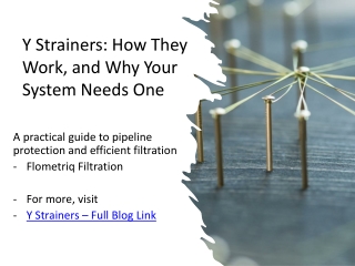 Y Strainers -- Flometriq Filtration