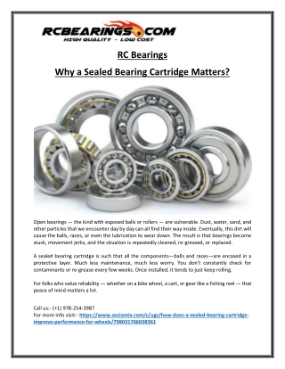 Accurate Shimano Reel Bearing Sizes Explained