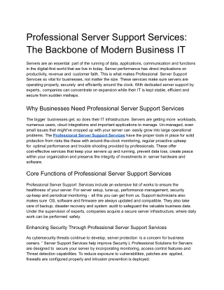 Professional Server Support Services_ The Backbone of Modern Business IT
