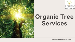 Organic Tree Services