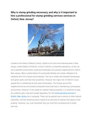 Why is stump grinding necessary, and why is it important to hire a professional for stump grinding services services in