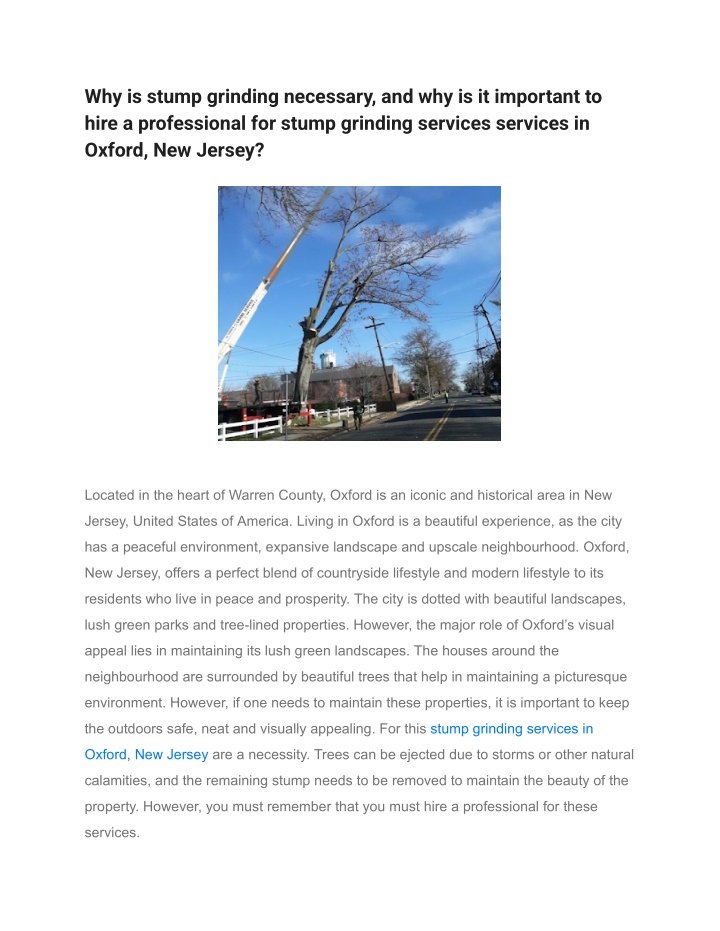 PPT - Why is stump grinding necessary, and why is it important to hire ...