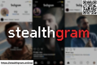 Stealthgram Online Viewer for Private Instagram Exploration