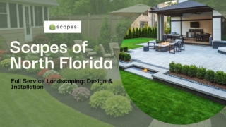 Scapes of North Florida (3)