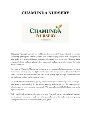 Chamunda Nursery – Trusted Plant Nursery in Gujarat