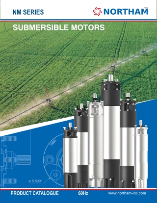 10 Inch Submersible Motors | 150–250 HP | Northam Inc