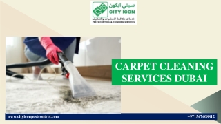CARPET CLEANING SERVICES DUBAI