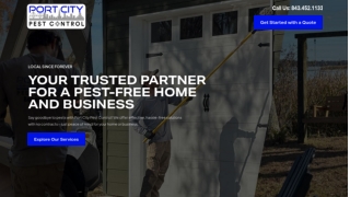 Expert Termite Treatment Service Near Mt. Pleasant, SC