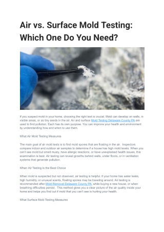 Air vs. Surface Mold Testing_ Which One Do You Need_