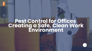 Pest Control for Offices: Creating a Safe, Clean Work Environment