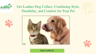 Get Leather Dog Collars Combining Style, Durability, and Comfort for Your Pet