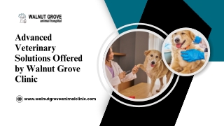 Delivering Trusted Animal Healthcare at Walnut Grove Clinic