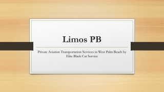 Private Aviation Transportation Services in West Palm Beach by Elite Black Car Service