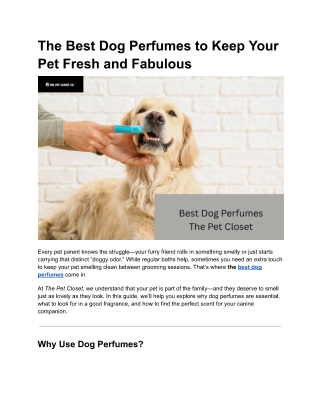 Best Dog Perfumes