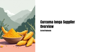 Curcuma-longa-Supplier-Overview