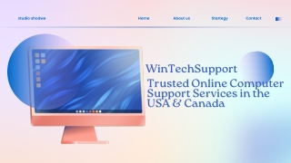 Trusted Online Computer Support Services in the USA