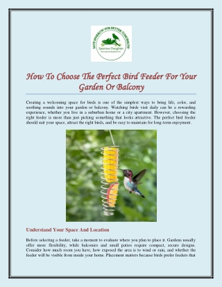 How To Choose The Perfect Bird Feeder For Your Garden Or Balcony