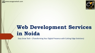 Web Development Services in Noida