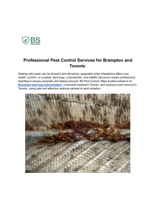 Professional Pest Control Services for Brampton and Toronto