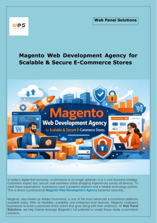 Magento Web Development Agency - Web Panel Solutions