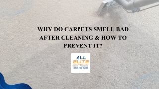 Why Do Carpets Smell Bad After Cleaning & How To Prevent It