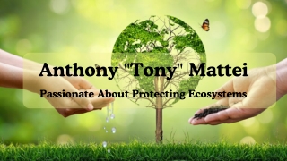 Anthony Tony Mattei - Passionate About Protecting Ecosystems