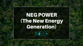 Smart Charging Softwares The Brains Behind Efficient EV Fleet Management -Neg power