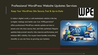Professional WordPress Website Updates Services by WPExperts24x7 – Secure, Fast