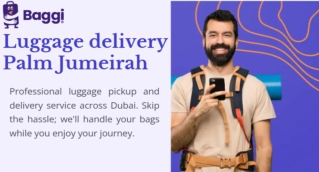 Luggage Delivery Palm Jumeirah | Fast & Secure – Baggi