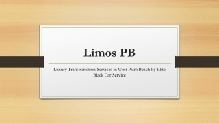 Luxury Transportation Services in West Palm Beach by Elite Black Car Service