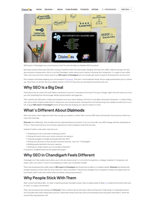 SEO Expert in Chandigarh | Dizimdos