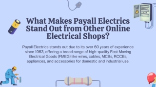 What Makes Payall Electrics Stand Out from Other Online Electrical Shops