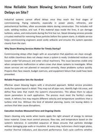 How Reliable Steam Blowing Services Prevent Costly Delays on Site?