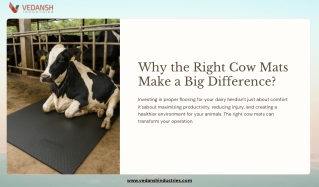 Rubber Cow Mats Manufacturer in India | Vedansh Industries