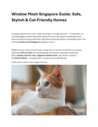 Magnetic Cat Mesh | Cat Proof Window Mesh | Cat Safety Net