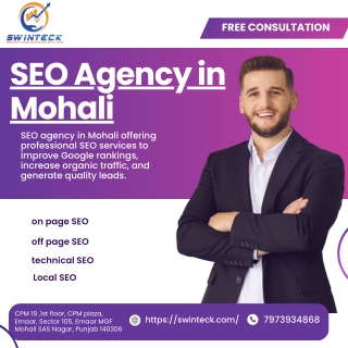 SEO Agency in Mohali