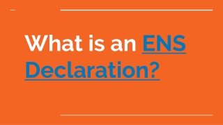 Entry Summary Declaration: A Comprehensive Guide for Importers and Exporters