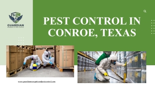 Trusted Pest Control Solutions in Conroe, Texas