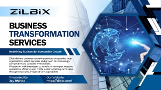 Business Transformation Services - Zilbix