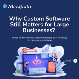 Custom Software Matters for Large Businesses