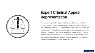Criminal Appeal Lawyer