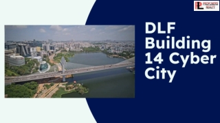 DLF Building 14 cyber city ,Gurgaon 9899920199